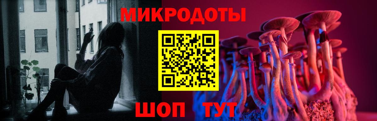 Псилоцибиновые грибы ЛСД Кингисепп