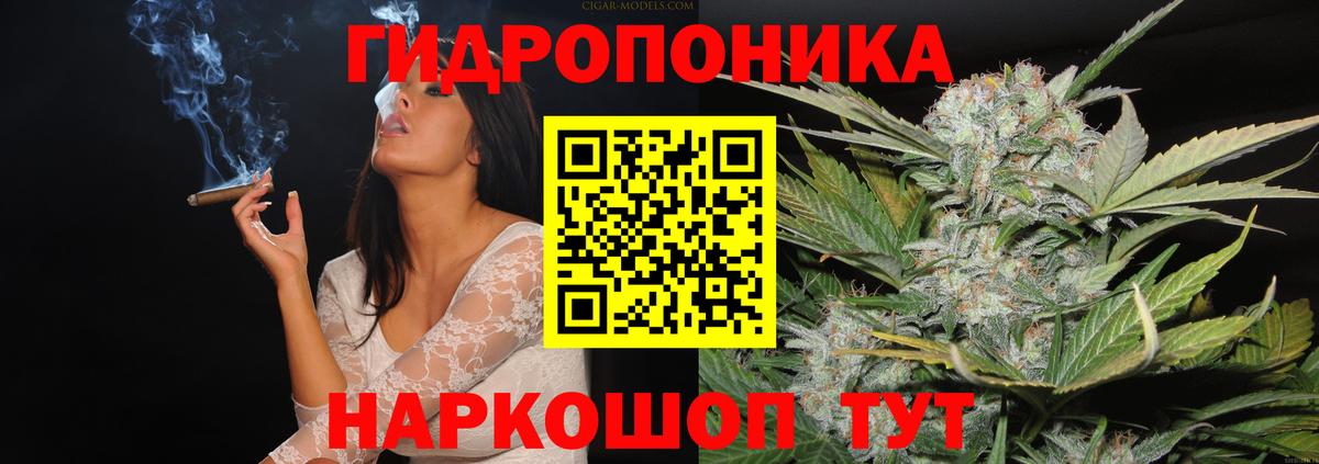 Кингисепп  Бошки марихуана конопля  Бошки Шишки VHQ  Бошки Шишки White Widow  Вход с VPN 